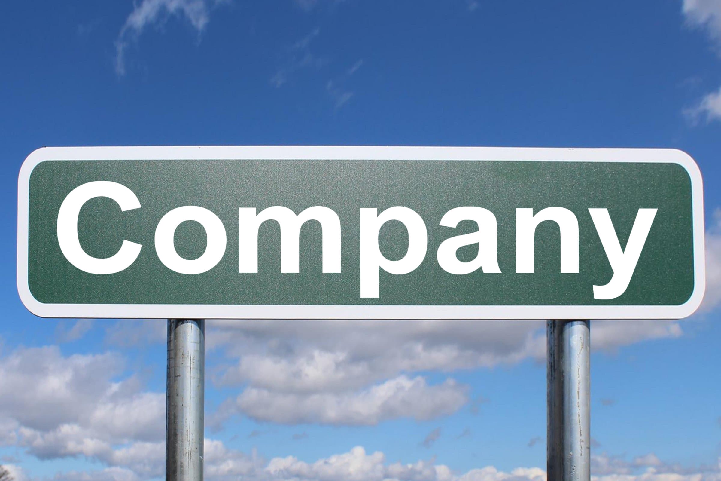 Types of Companies in India Explained (OPC, Pvt Ltd, Public, Section 8)